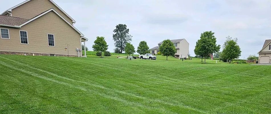 lawn care service in Fogelsville, PA