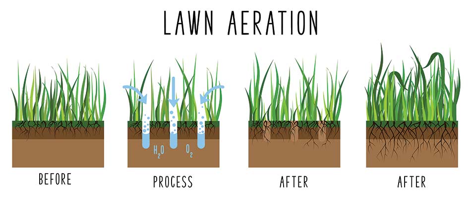 Lawn aeration infographic for Emmaus, Pennsylvania.