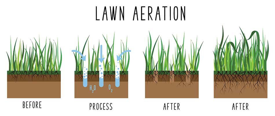 Lawn aeration infographic for Emmaus, Pennsylvania.
