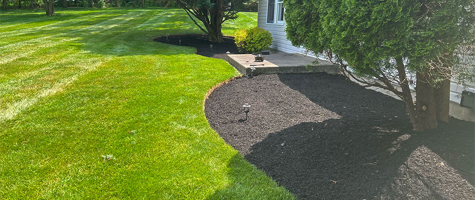 New mulch installed in landscape beds at home in Allentown, PA.