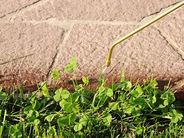 Weed control services in Allentown, Pennsylvania.