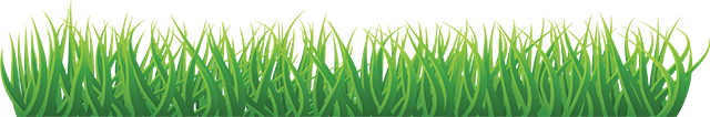 Grass graphic