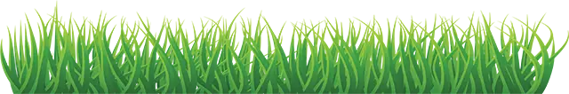 Grass graphic
