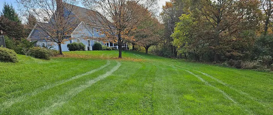 Aeration By Fresh Cuts Lawn and Maintenance