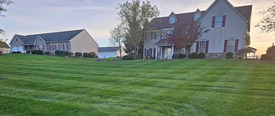 lawn care service in Breinigsville, PA