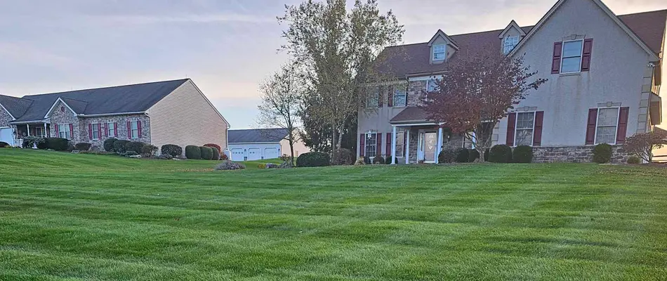 landscaping, fresh cuts lawn maintenance