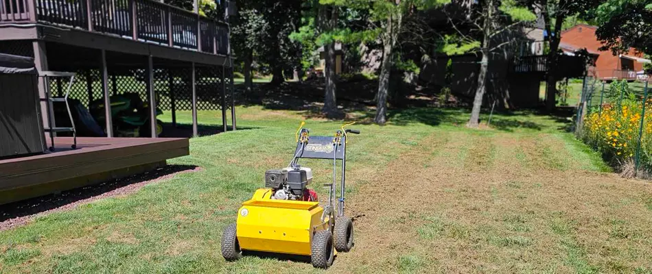 new lawn seeding work by Fresh Cuts